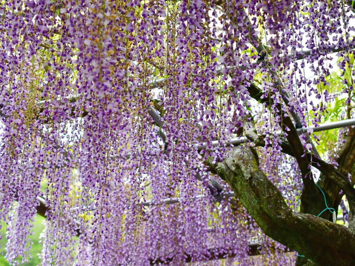 Hotel Tomioka-Ya Fujieda Exteriér fotografie